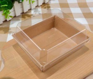 Khay giấy giá rẻ tại Đà Nẵng